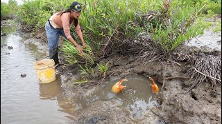 Catching MONSTER Mud Crabs by Hand – No Fear Challenge!