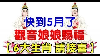 快到5月了，觀音娘娘賜福（6大生肖，請接喜） - 十二生肖