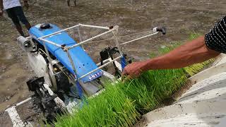 Actual demo testing walk behind rice transplanter @ catungawan, guindulman, Bohol (no edit)