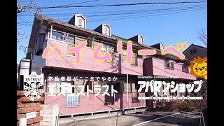 【日野市南平　賃貸マンション】ハイムリーベ　１Ｒ　室内動画　アパマンショップエスエストラスト