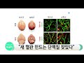 새 혈관 만드는 단백질 찾았다 ytn 사이언스