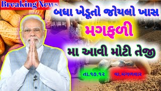 નવી મગફળીના ભાવ ✴️| 17-12-2024 | મગફળી ભાવ:2024 | Information about Peanuts Crop Price | #khedutseva