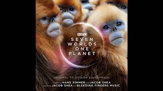 Australian Cassowary | Seven Worlds One Planet OST