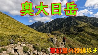 【奥大日岳】いよいよ色づき始めてきた室堂高原、草紅葉に彩られた絶景の稜線歩き