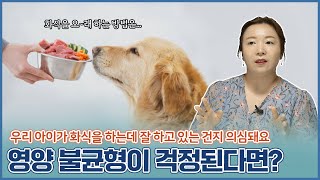 우리 강아지 화식, 영양불균형이 걱정된다면?