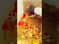 Naag Panchami Puja🙏  Devi naag Devi | neha rajyshee/ #ytshorts #bhakti