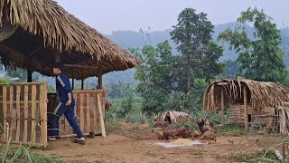 The guy who gave the chicken almost put his sister in danger.Hoàng Văn Hành