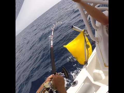 Drifting Al Tonno Rosso Pesca Ladispoli Previsioni Meteo E Pesca