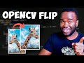How to Flip an Image using Python and OpenCV