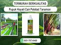 WA 851-7973-6469, Harga Pupuk Hayati Cair Pelebat Tanaman di Jayapura