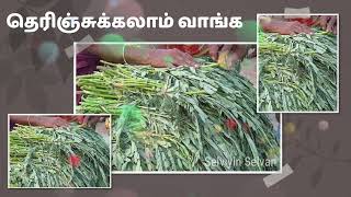 அகத்தி கீரை மருத்துவ பயன்கள் | Agathi Keerai Benefits Tamil