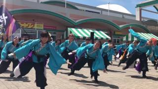 さのよいファイヤーカーニバル2017 シティーモール会場 男なら