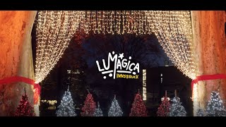 Lumagica Innsbruck