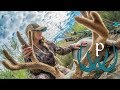 Utah Archery Mule Deer Hunt with Kristy Titus