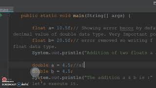 Double data type in Java