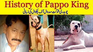 History of Pappo King Bully Badmash Kutta Interview of Ch Shokat Sadwal By Nafa tv hd