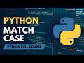Match Case Statements in Python | Python Full Course in Hindi/Urdu - Tutorial #13
