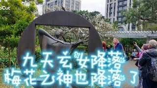 2025年1月20日中正紀念堂梅花花況