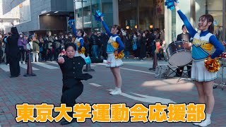 【参道まつり】合格応援パフォーマンス 2025/02/09