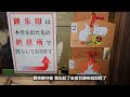 【🇯🇵京都清水寺 伏見稻荷散策 】獨享早晨寧靜的清水寺 伏見稻荷神樂演奏 推介超好吃三百年八橋老店 @esmeslife