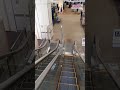 escalator イオン新発田店　エスカレーター