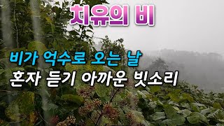 비가 억수로 오는 날, 혼자 듣기 아까운 빗소리/ 불면증과 이명 치료를 위한 빗소리 백색소음