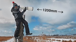 Snuck into Chernobyl ZONE / Hunting with Canon 600mm