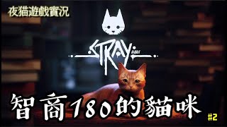 🌈Stray🌈第二集：遊戲這隻貓智商肯定180以上，還會解謎。我家的貓咪只會咬沙發，餓了喵喵叫，趁你睡著時跳到你身上...🙀夜貓遊戲實況1710