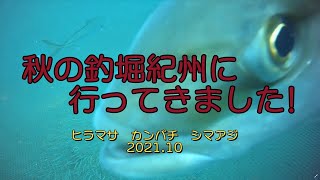 みんなで楽しく海上釣堀  秋の青物狙い!!