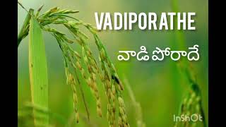 వాడి పోరాదే ఓ నా మనసా/Vadiporathe O Naa manasa