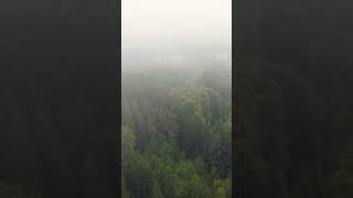 Drone flight in fog / Drohnenflug bei Nebel #drone #dronephotography #shorts #lostplaces