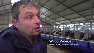 Wilco Vroege over voerefficiëntie