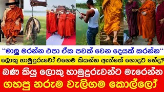 බණ කියූ ලොකු හාමුදුරුවන්ට මැරෙන්න ගහපු නරුම වැලිගම කොල්ලෝ, \