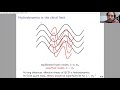 Alexander Soloviev -- Transport and hydrodynamic fluctuations in the chiral limit