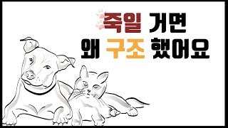 수백 마리의 동물을 몰래 죽인 동물권 운동가