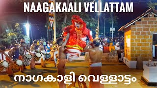 നാഗകാളി വെള്ളാട്ടം അല്പഭാഗം Naagakali Vellaattam 2020 ഭക്തി സാന്ദ്രം...#Nagakali #theyyam