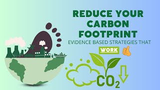 How to Reduce Your Carbon Footprint and Combat Climate Change