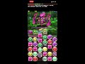 【パズドラ】　ハク編　新ストーリーダンジョン　攻略　パズドラ物語