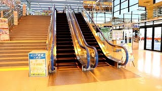 【フジテック製】ヤマダ電機三原店　昇りエスカレーター