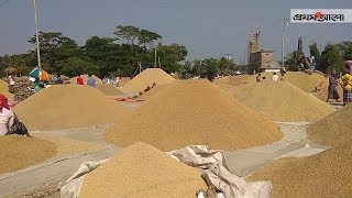 পটুয়াখালীর বাউফলে ধানের ফলন ভালো হলেও দাম কম