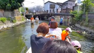 田宿川たらい流し川祭り2013