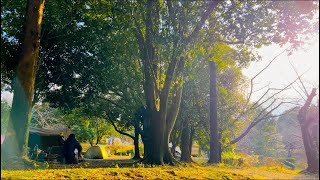 Relaxing camping in the sunlight filtering through the trees