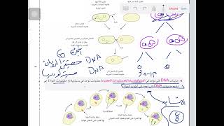 مذاكرة الحصة الثالثة بيولوجيا الجزيئة | DNA في اوليات النواة وحقيقيات النواة وعملية تكاثف ال DNA