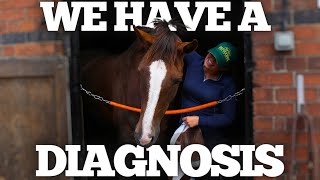 MAGGIE UPDATE – Poor / Loss of Performance workup explained – Diagnosis & What’s