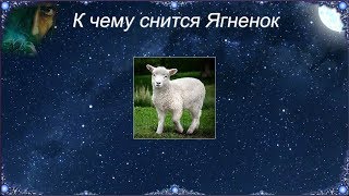 К чему снится Ягненок (Сонник)