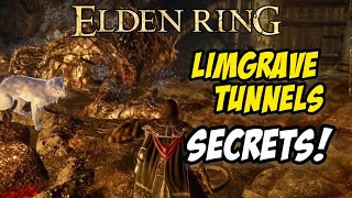 The SECRET PASSAGES of Limgrave Tunnels! | Beat the Stonedigger Troll | Elden Ring