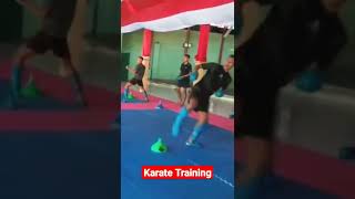 Karate Training | Karate Technique | Karate Speed, Power, Flexsibility #101
