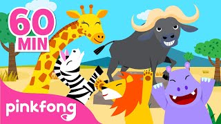 Animlales de la Selva | ¡Hola, Búfalo! |+Recopilación | Pinkfong Canciones Infantiles