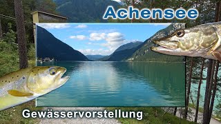 Achensee in Tirol | Gewässervorstellung - Angelrevier | Zielfisch: Hecht, Barsch, Renke und Forellen