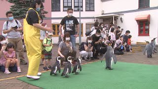 コロナ禍の観光地　定員制限　消毒も【HTBニュース】